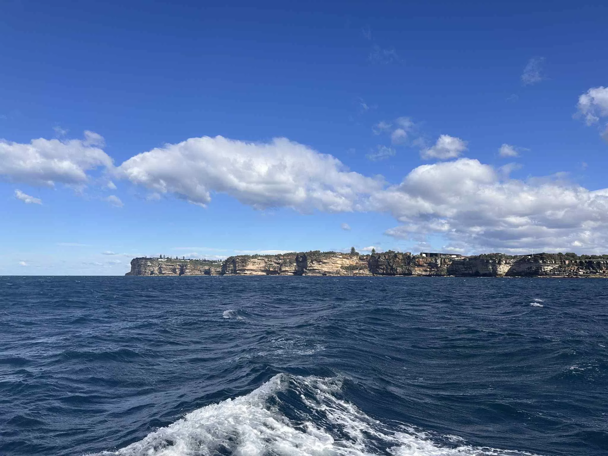 En búsqueda de Ballenas por las aguas australianas