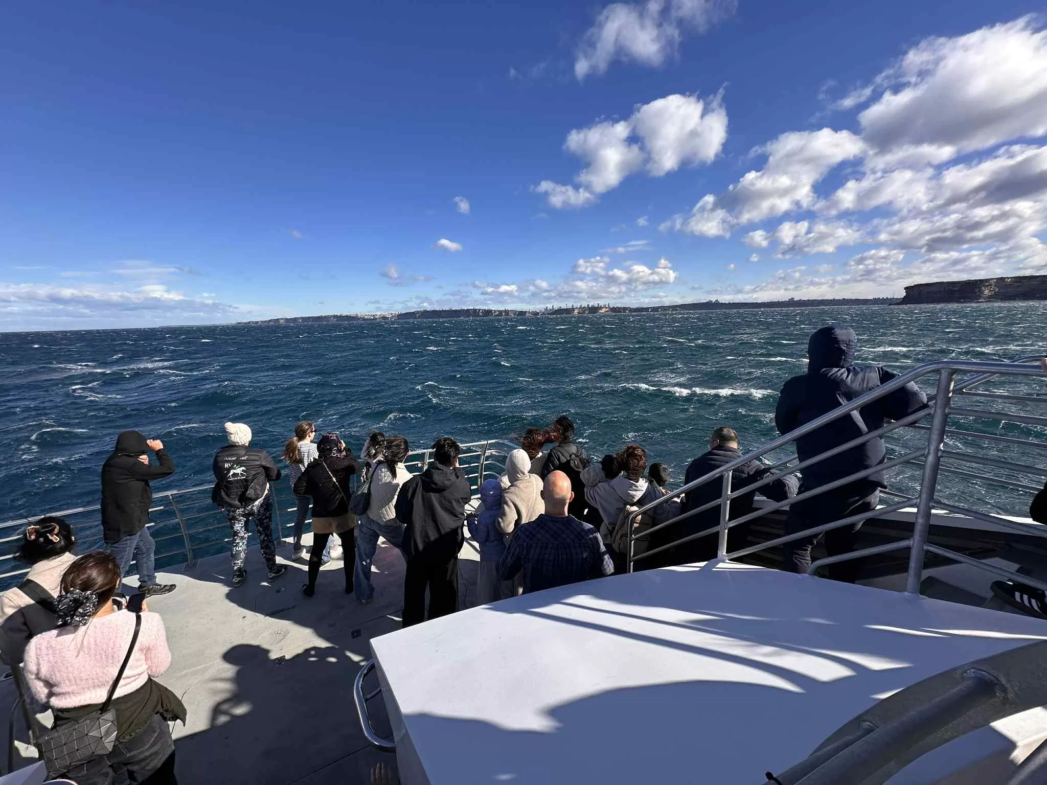 Avistamiento de ballenas en Australia una experiencia inolvidable