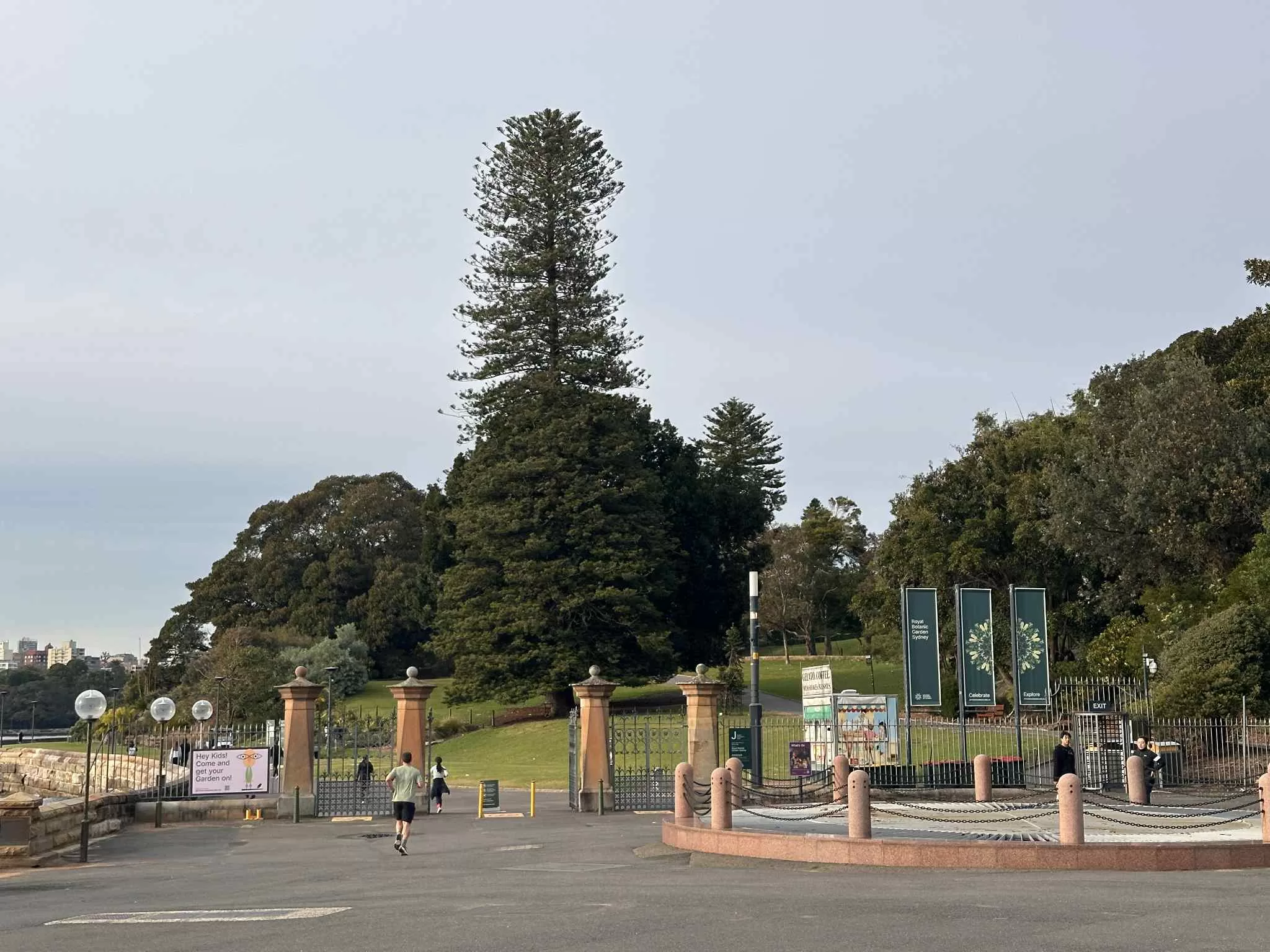 Royal Botanic Garden: naturaleza en el corazón de la ciudad