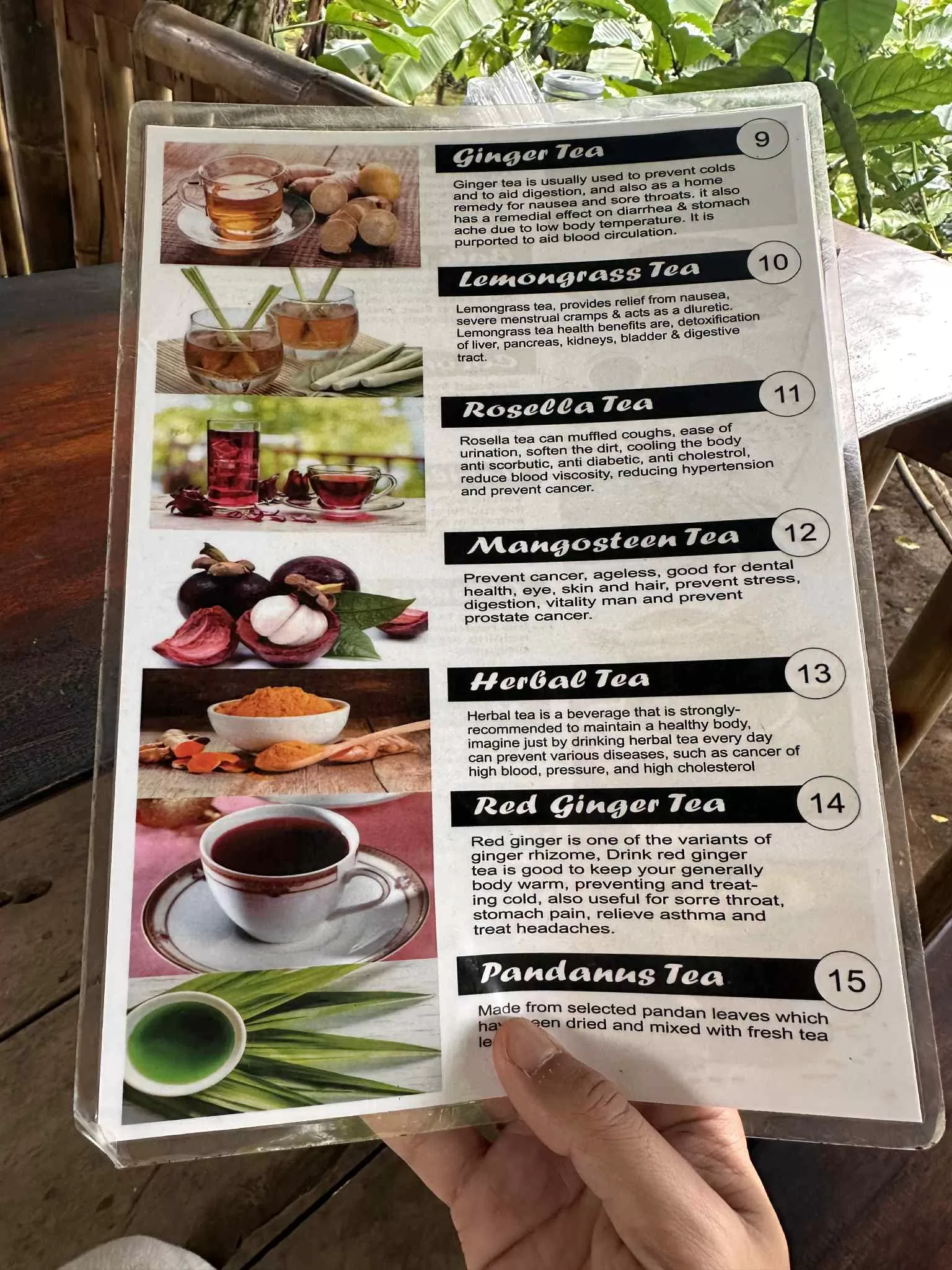 Degustaciones de té en Bali