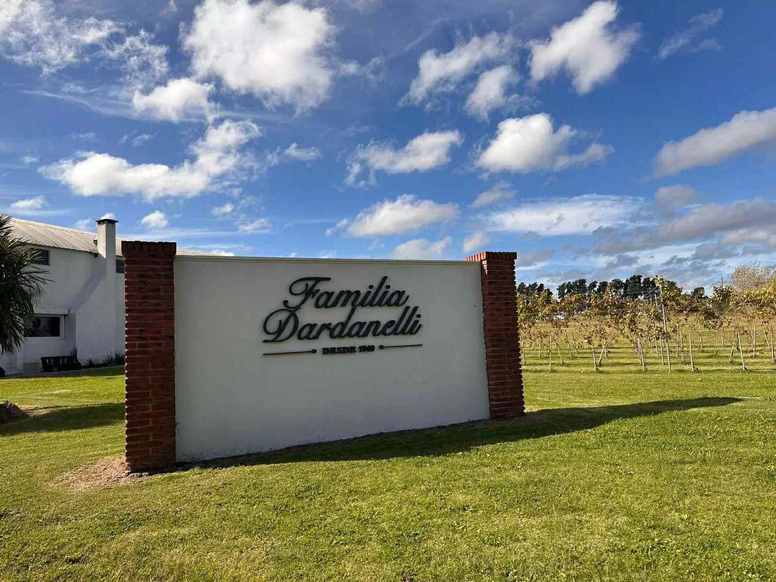 Viñedos de la Familia Dardanelli en Uruguay