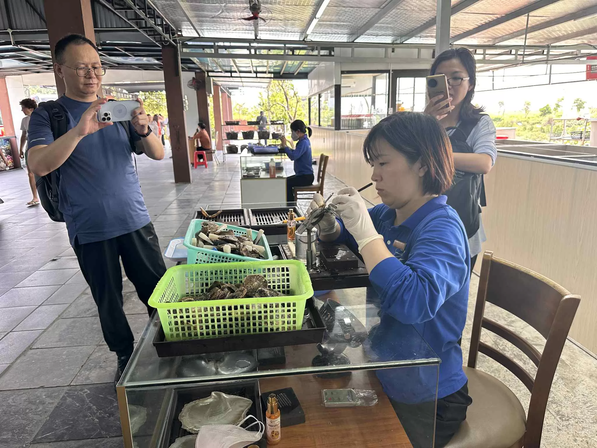 Aprender sobre el Cultivo de Perlas en Vietnam