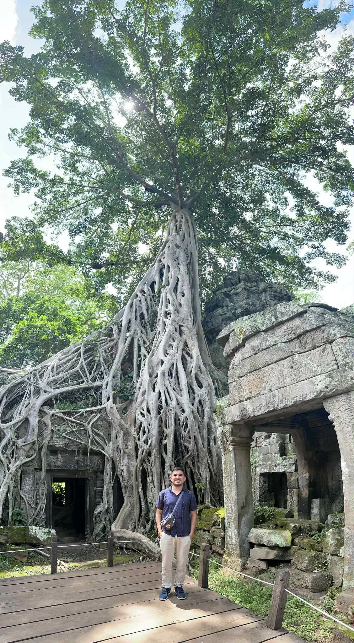 Árboles y naturaleza en el templo de Ta Prohm