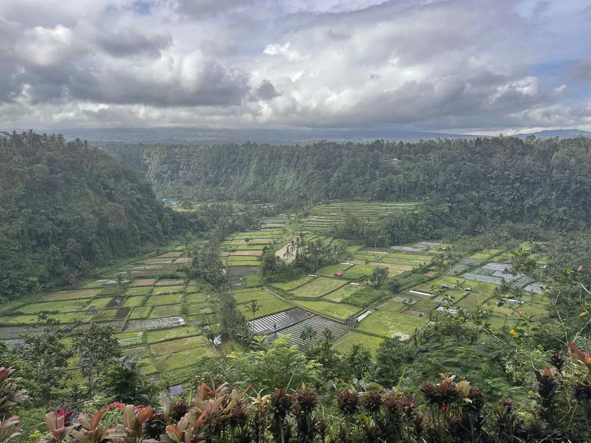 Vistas panorámicas de Bali y sus cultivos