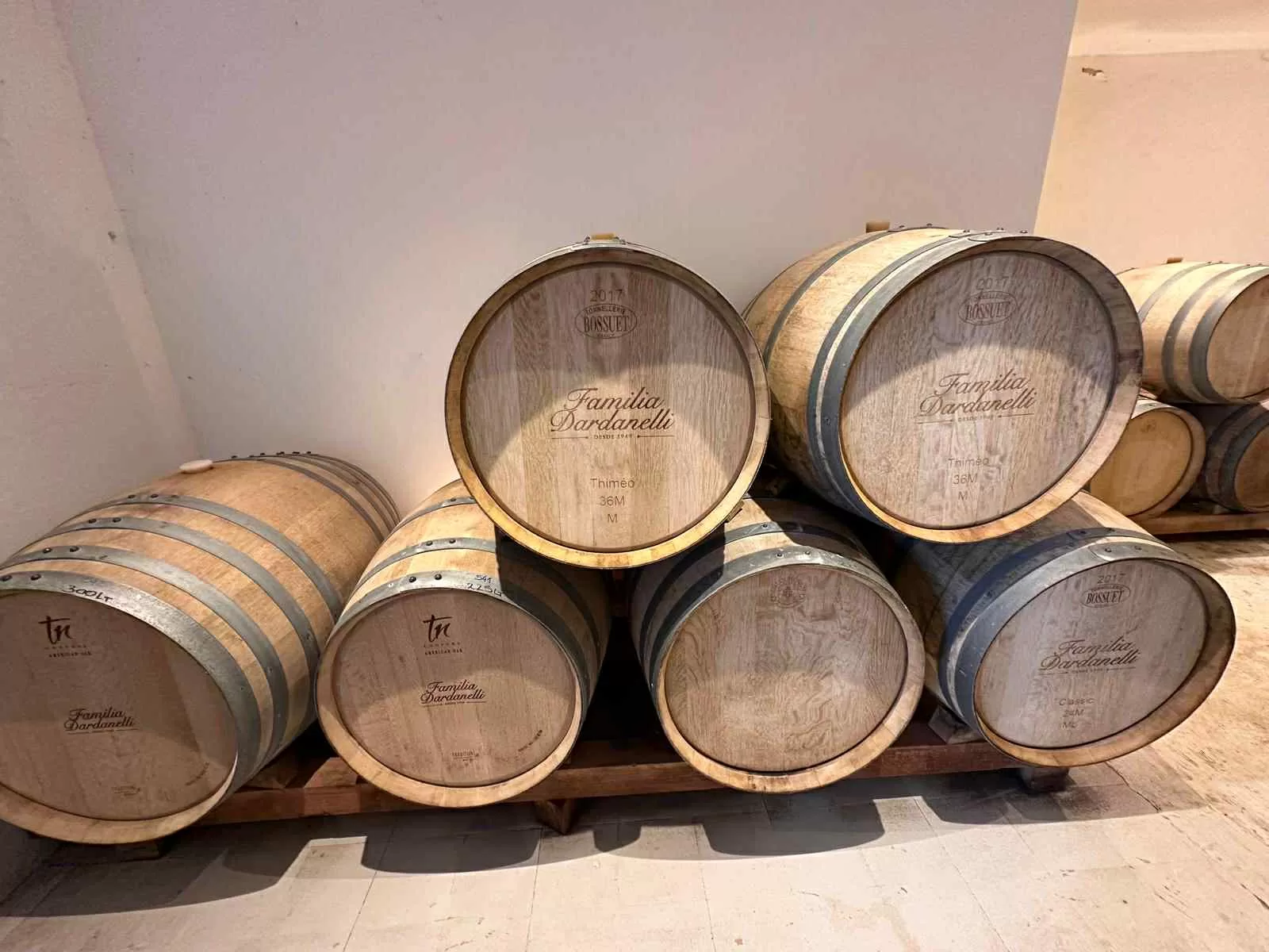 Visitar los viñedos de Uruguay y degustar el Vino