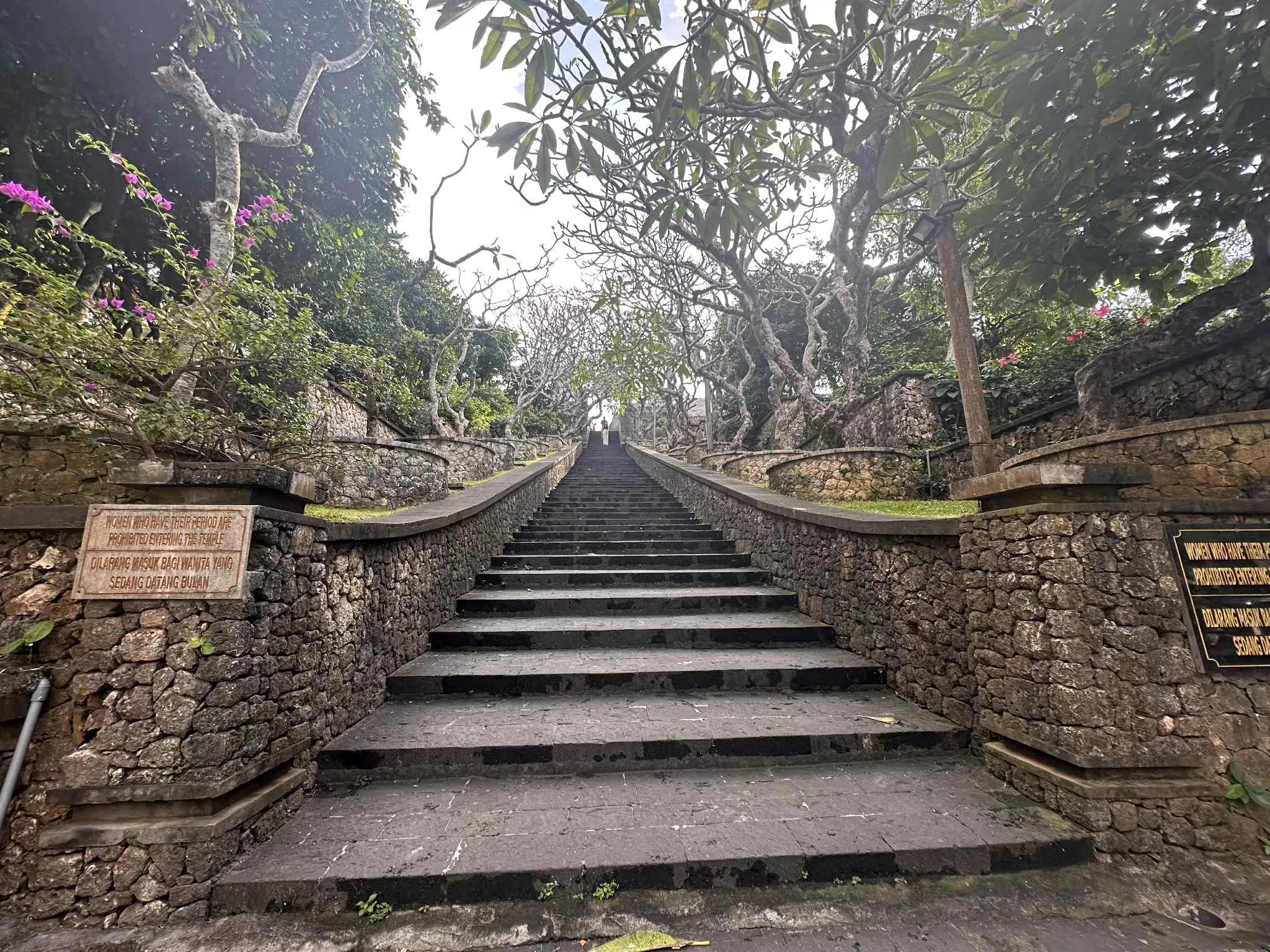Naturaleza y templos en bali