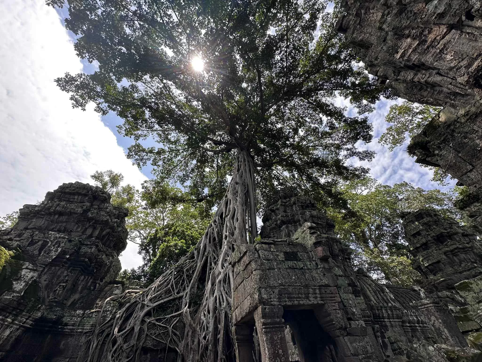 ¿Qué es el templo de Ta Prohm y por qué es tan especial?