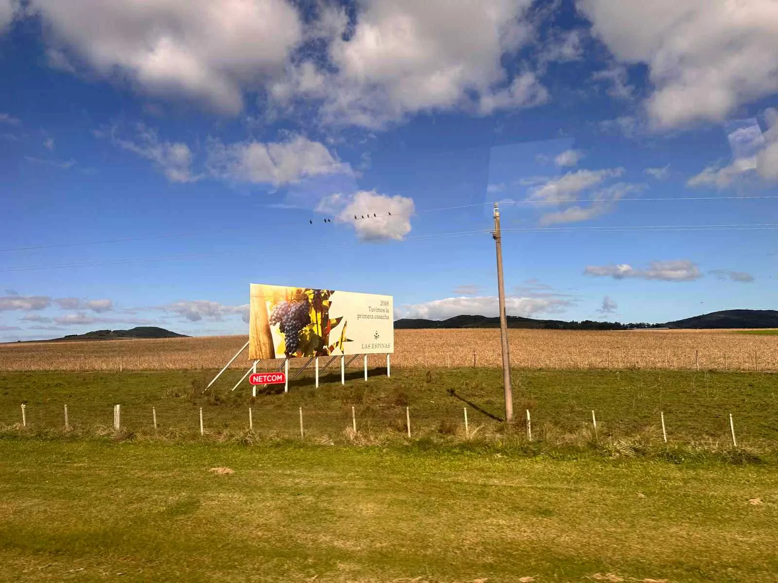 Región de Vinos del Uruguay