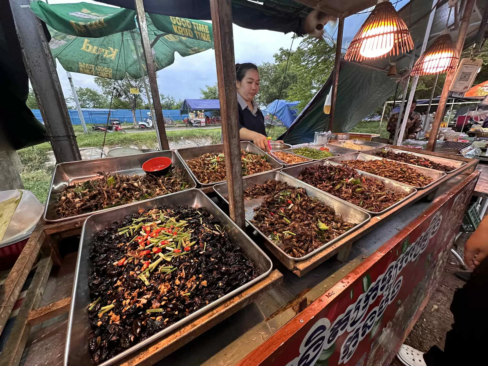 Comer insectos en Camboya