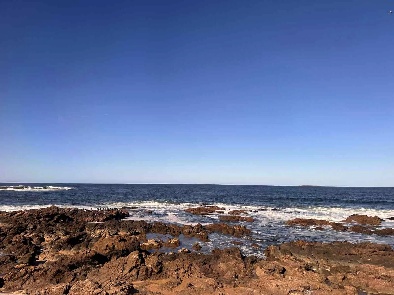 Isla de Gorriti y Isla de Lobos