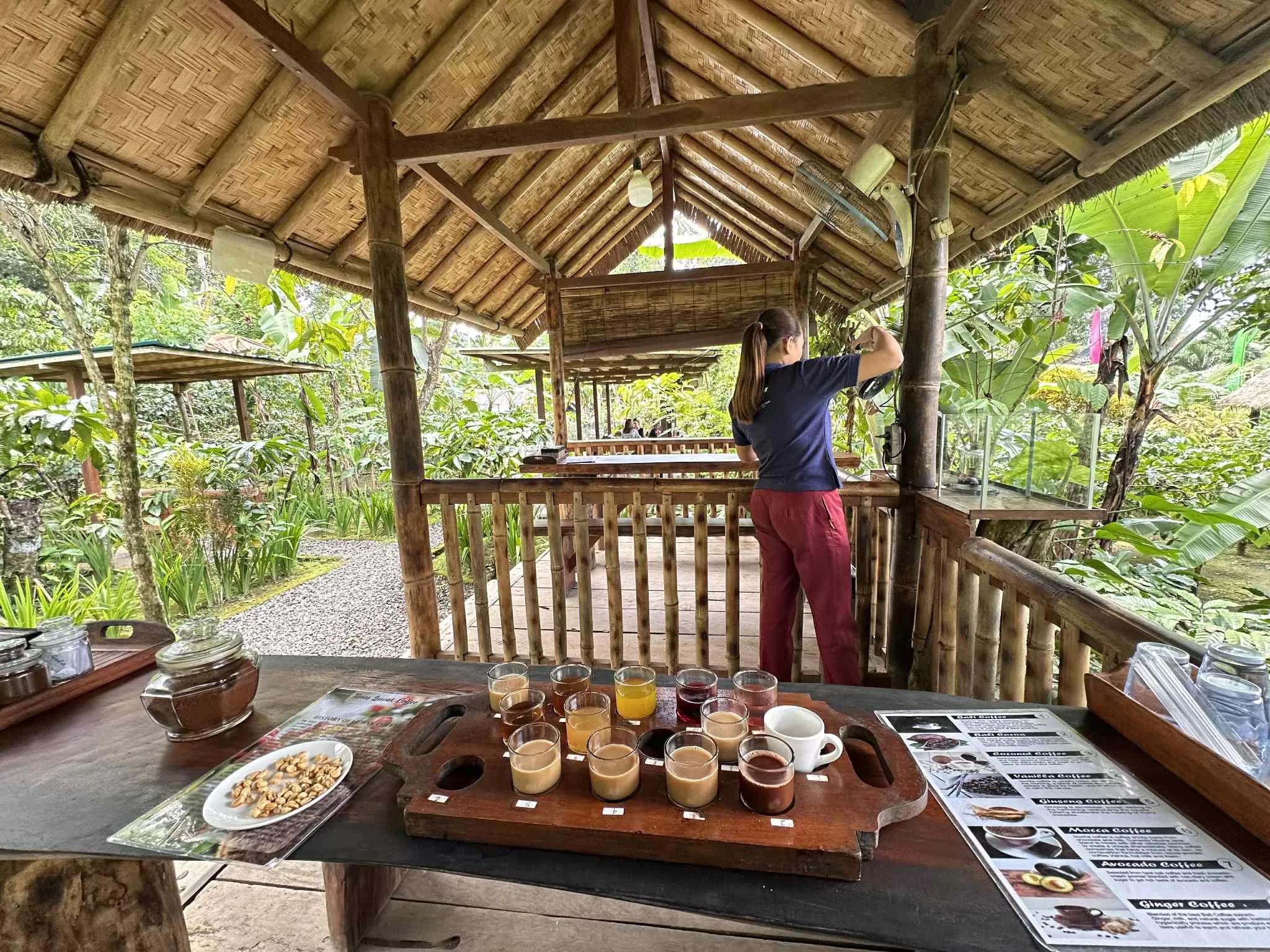 Degustación de Café en Bali