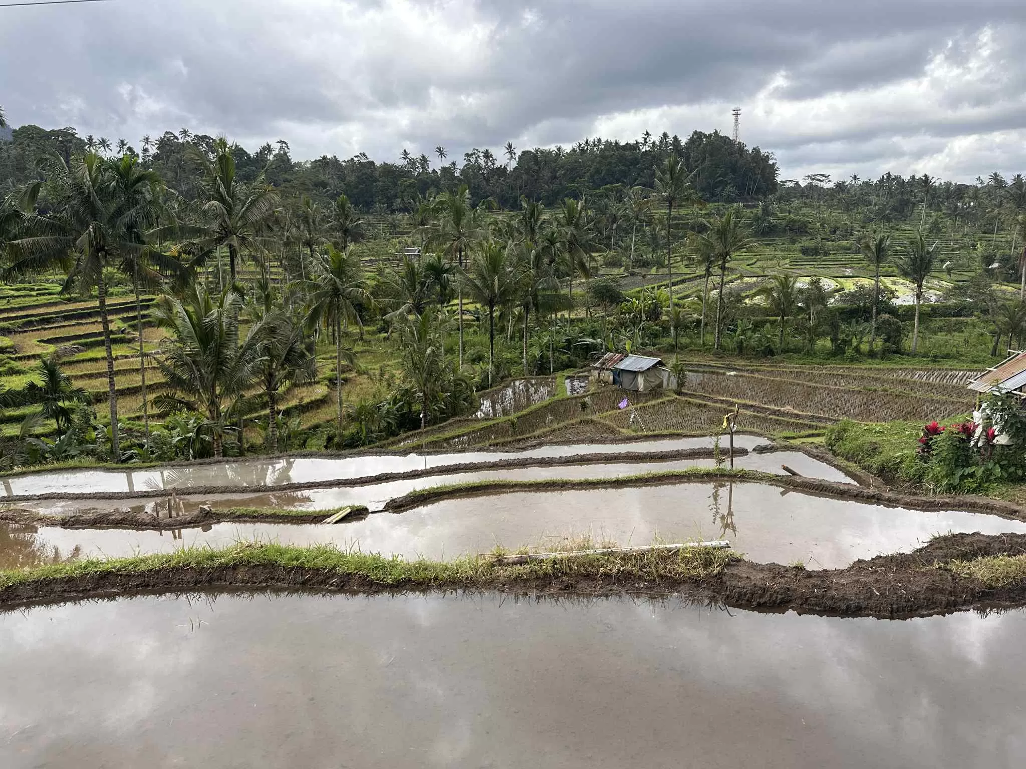 Visitar las terrazas famosas de Bali en Indonesia