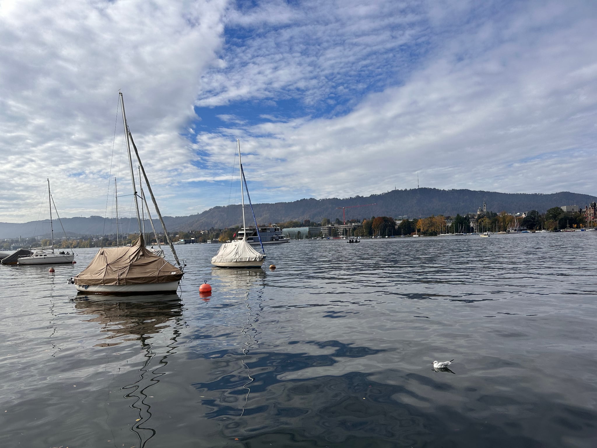 El Lago de Zúrich (Zürisee)