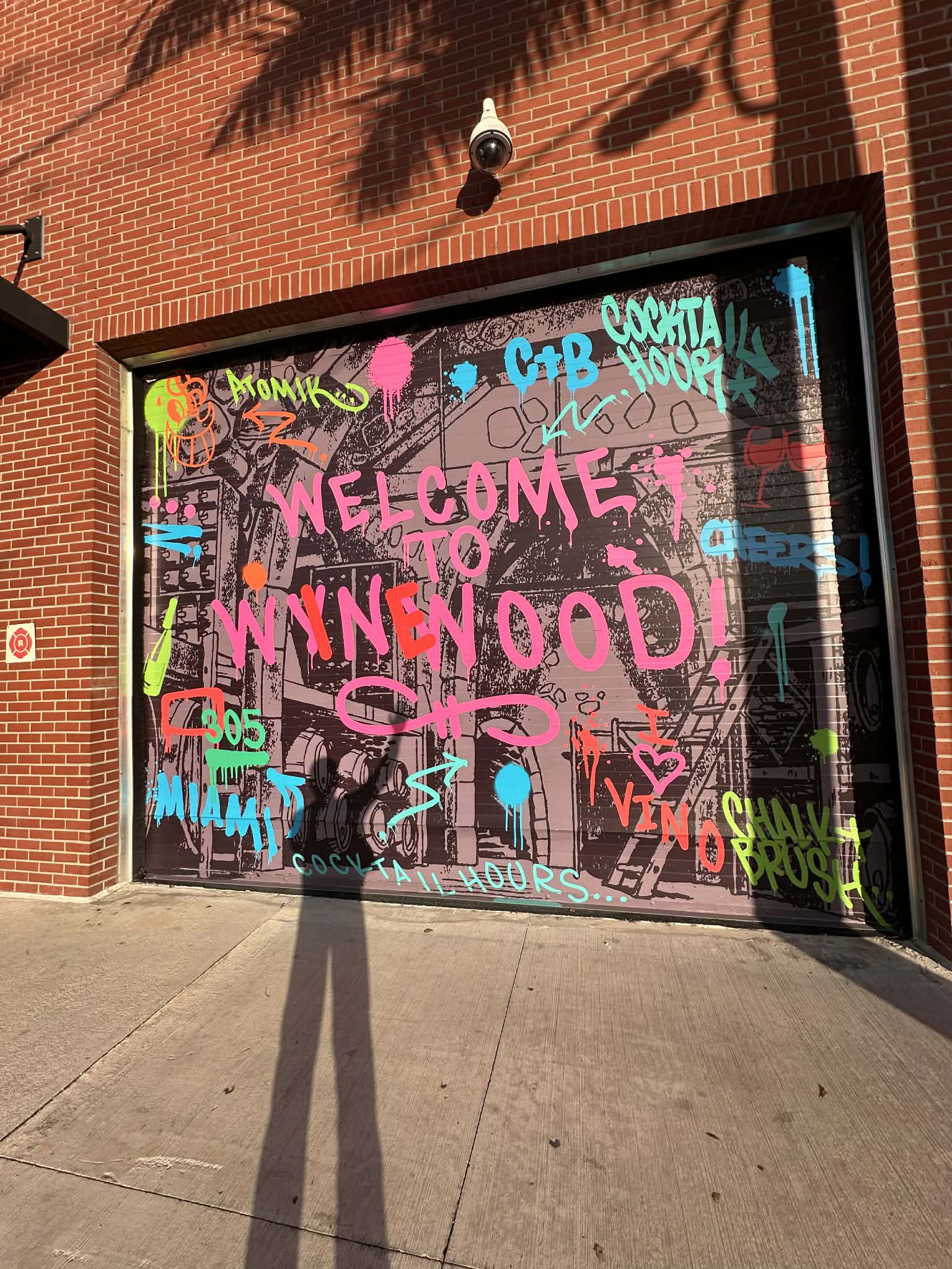 Arte por las calles de Wynwood