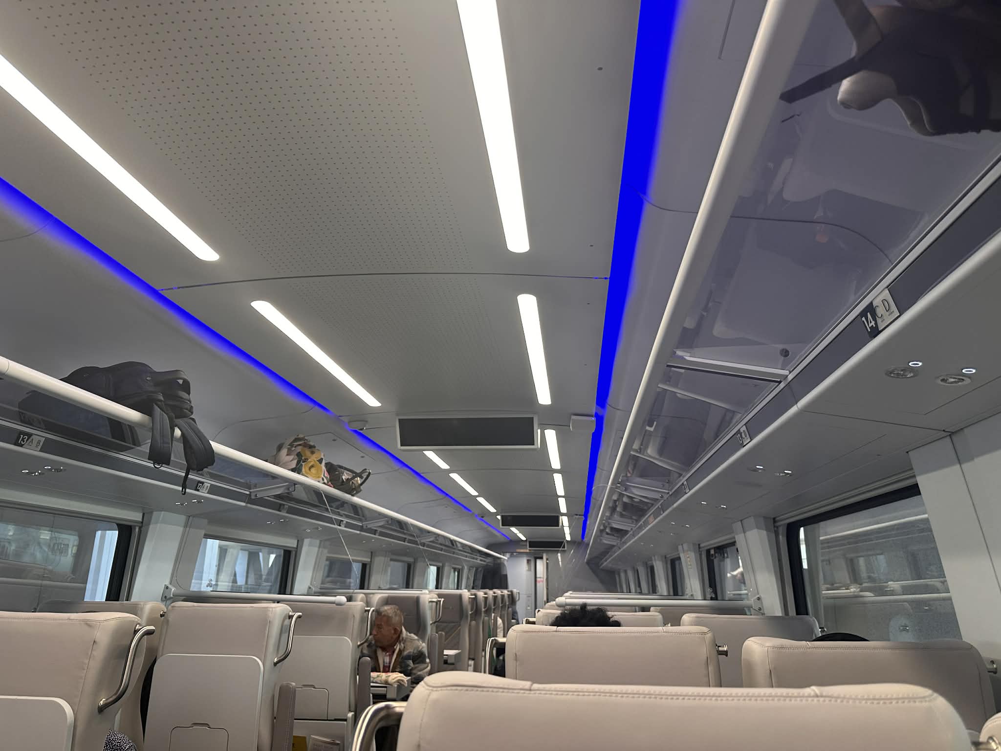 Interior de los trenes que van de Miami a Orlando