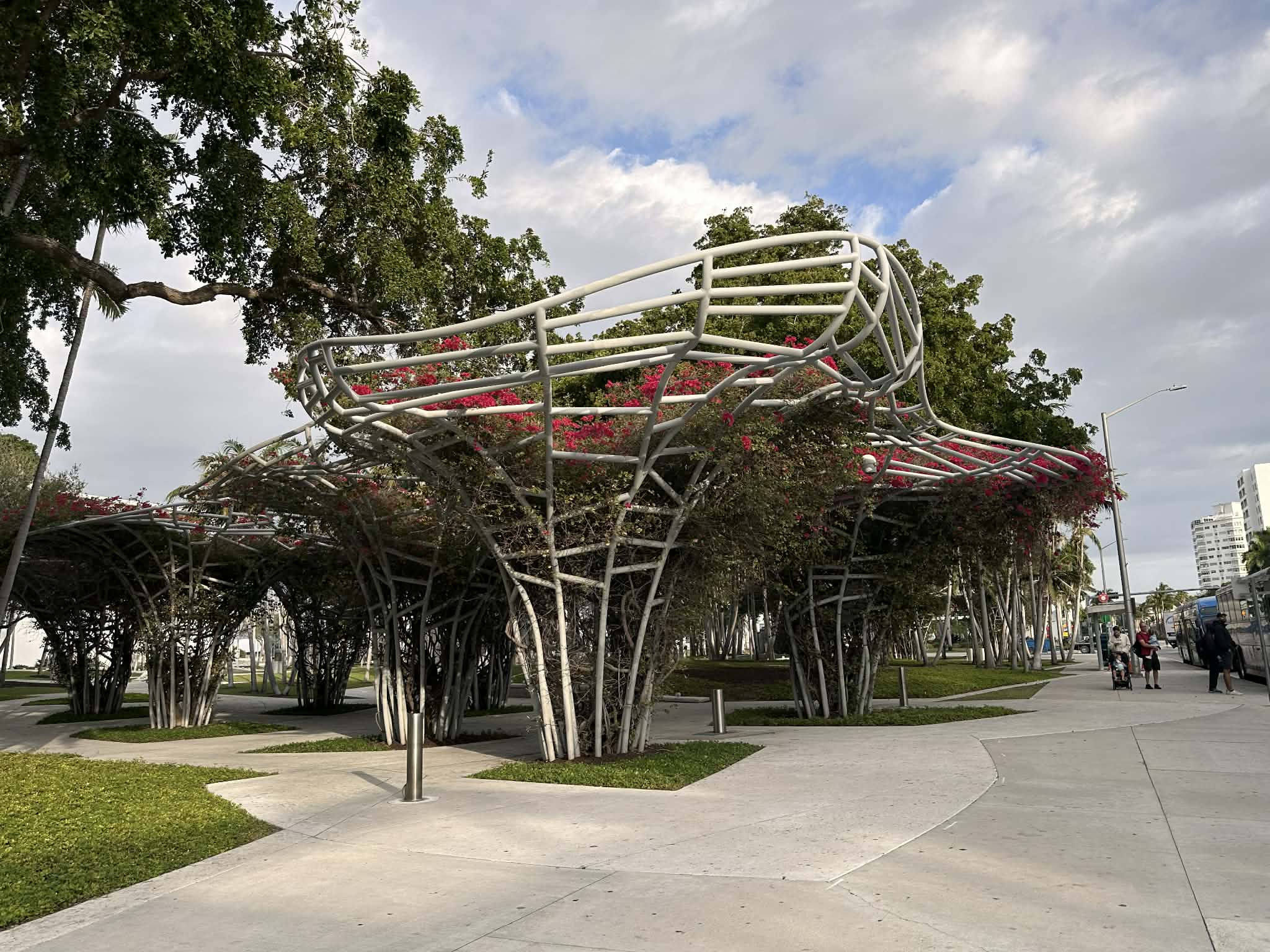 Naturaleza cerca de la ciudad en Miami Beach