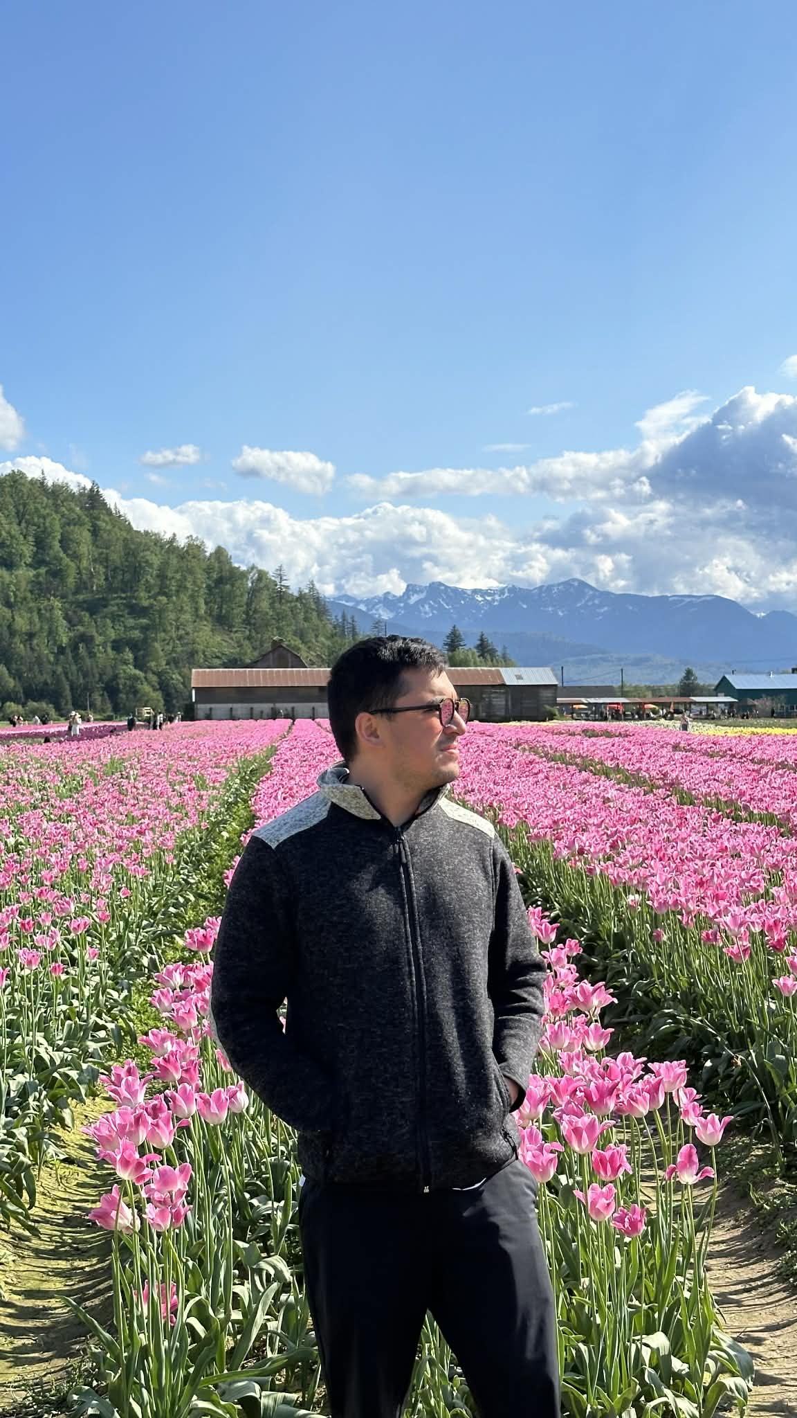Campo de tulipanes en Canadá