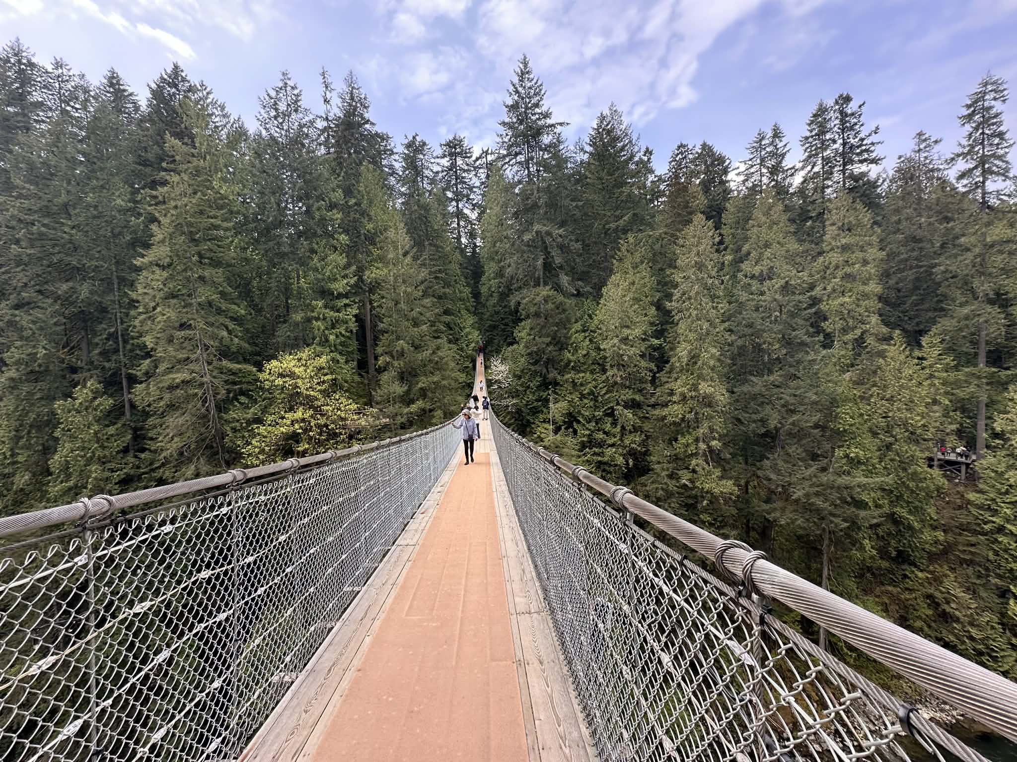 Visitar el Puente Colgante de Capilano