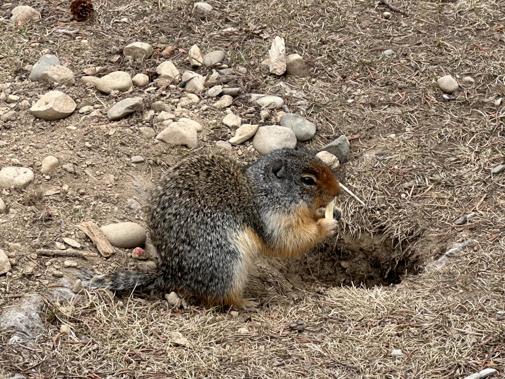 Cuándo visitar el Parque Manning en Canadá