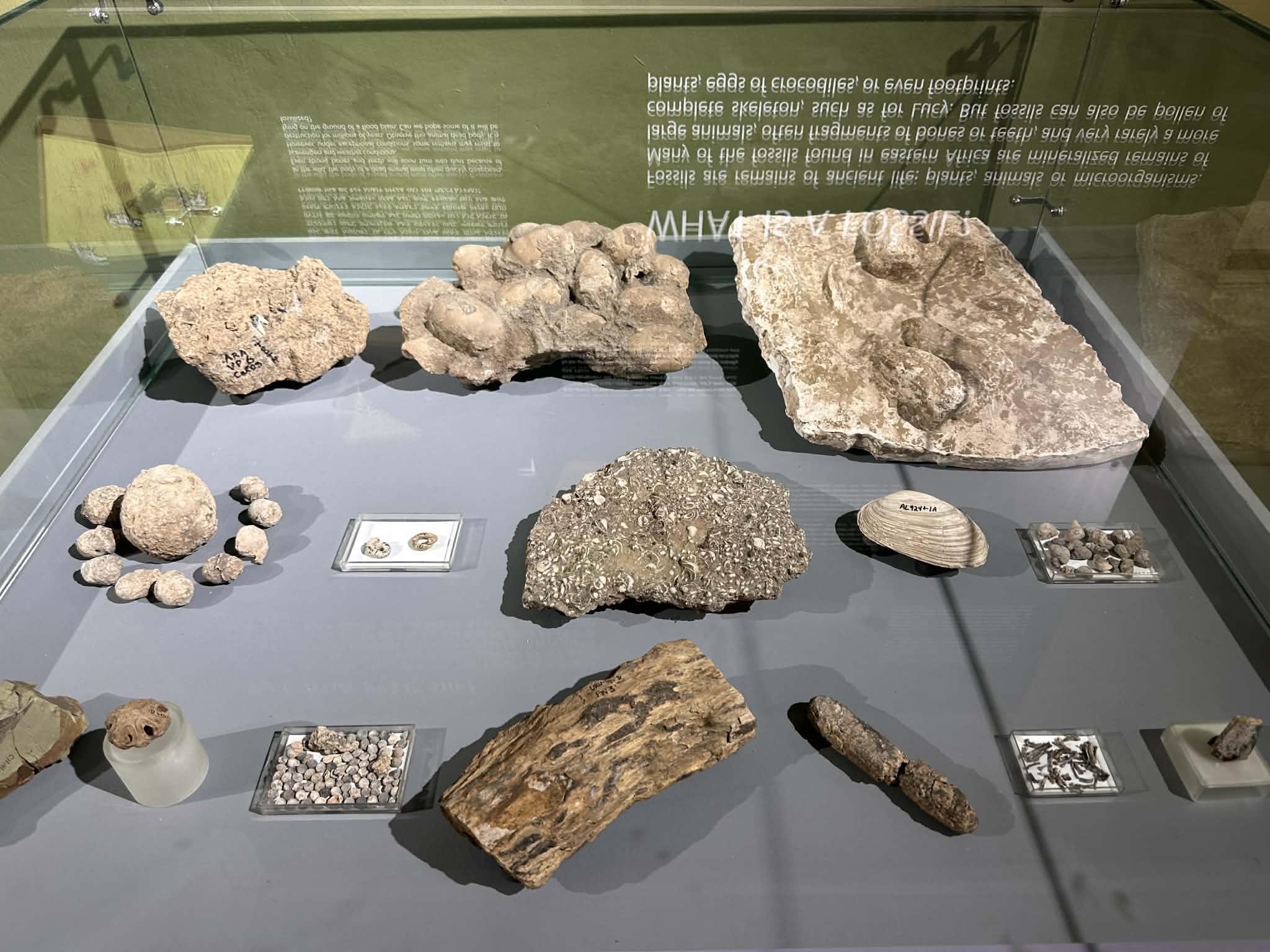 Restos arqueológicos encontrados en Addis Abeba