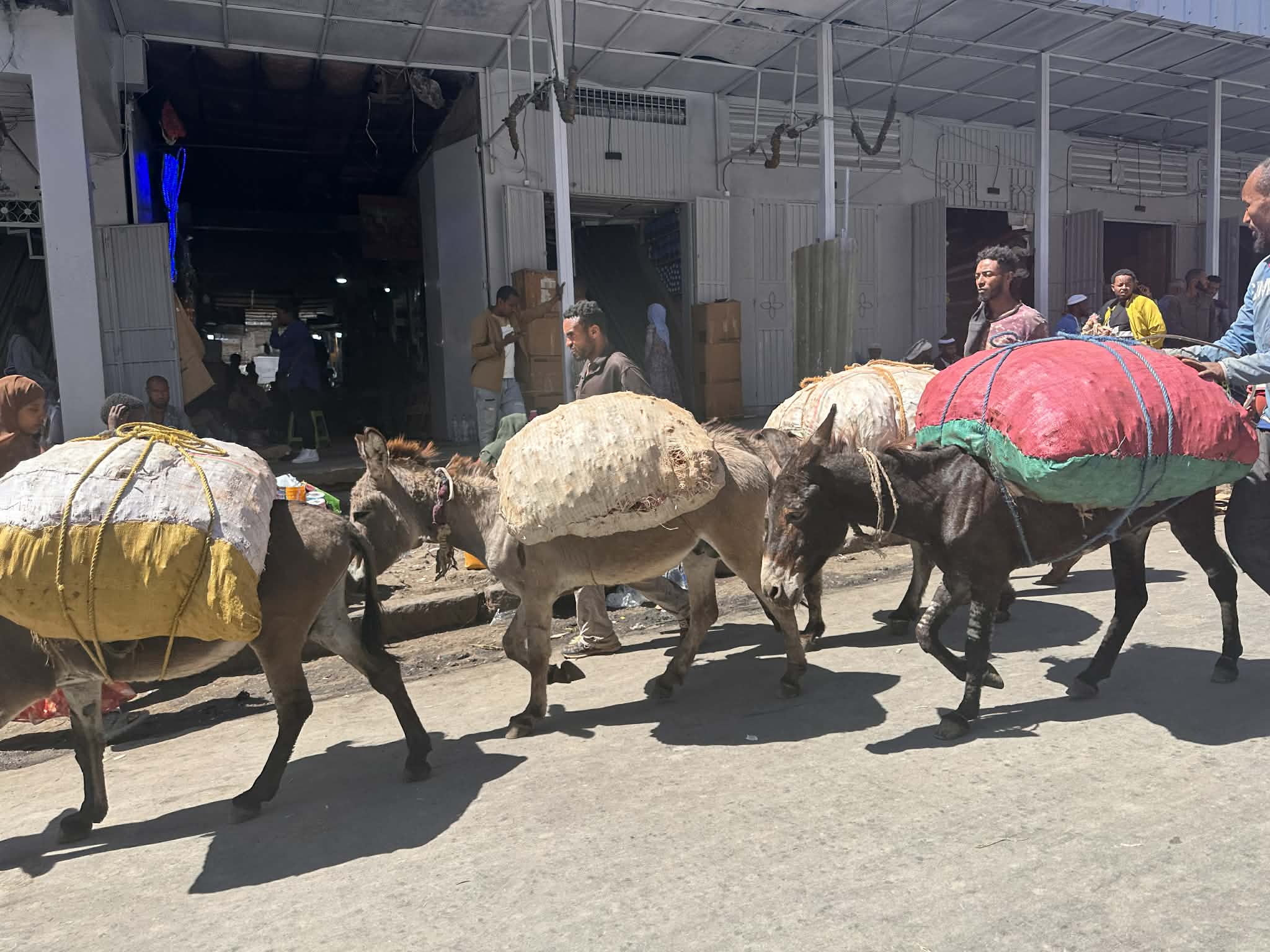 Burros en el mercado de Addis Abeba