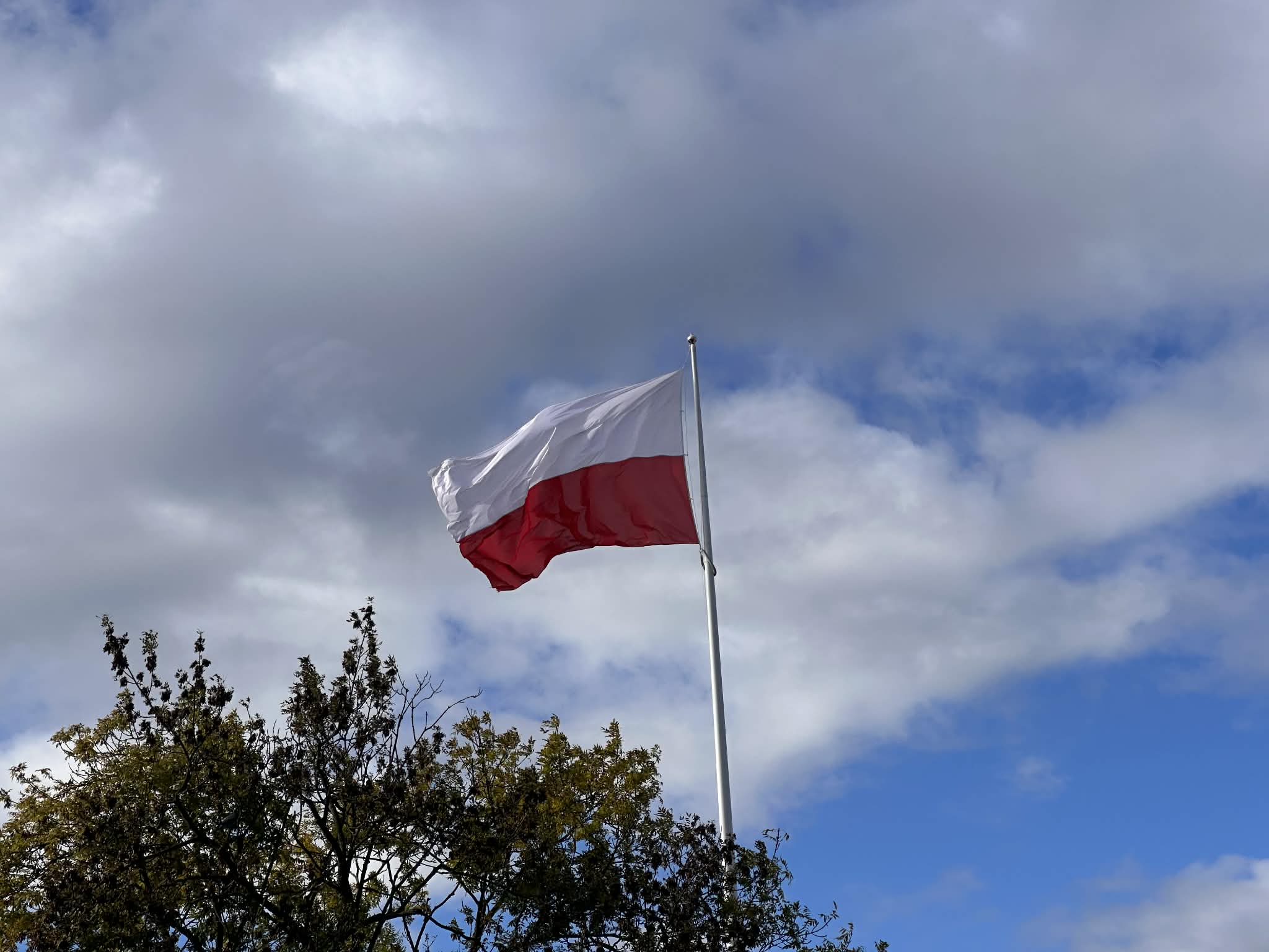 Bandera de Polonia