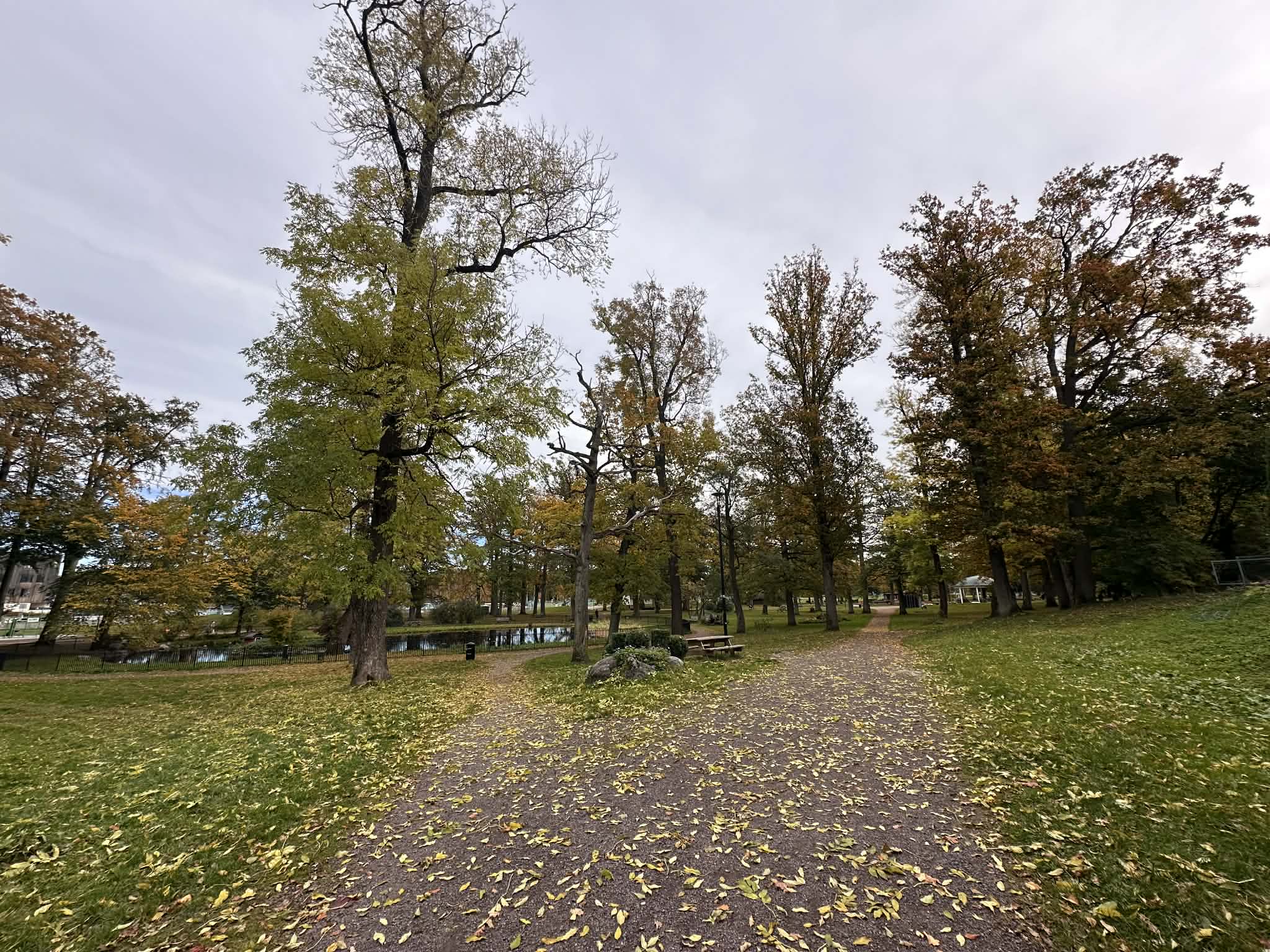 Parque en el centro de la ciudad
