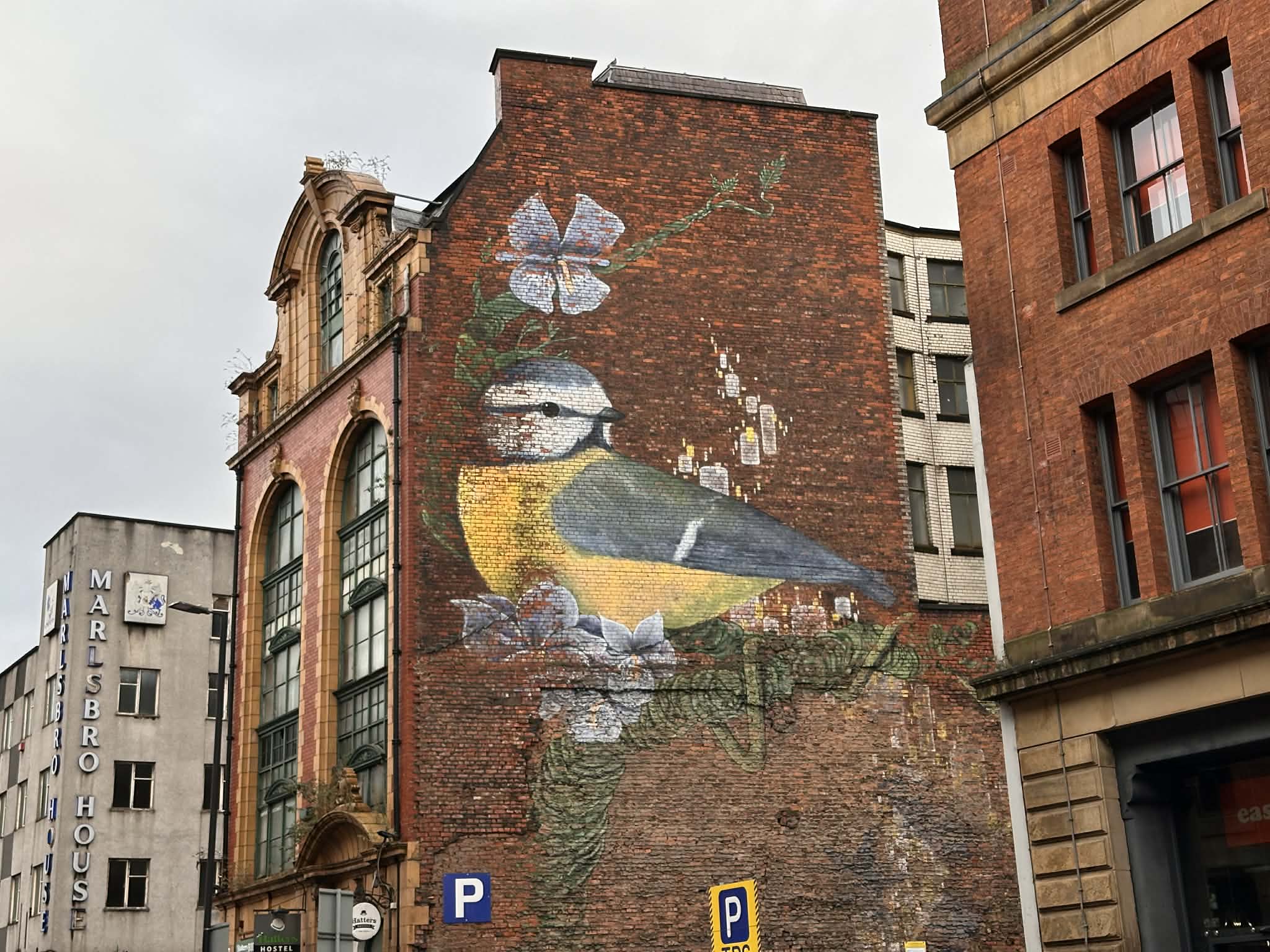 Arte el callejero de la ciudad