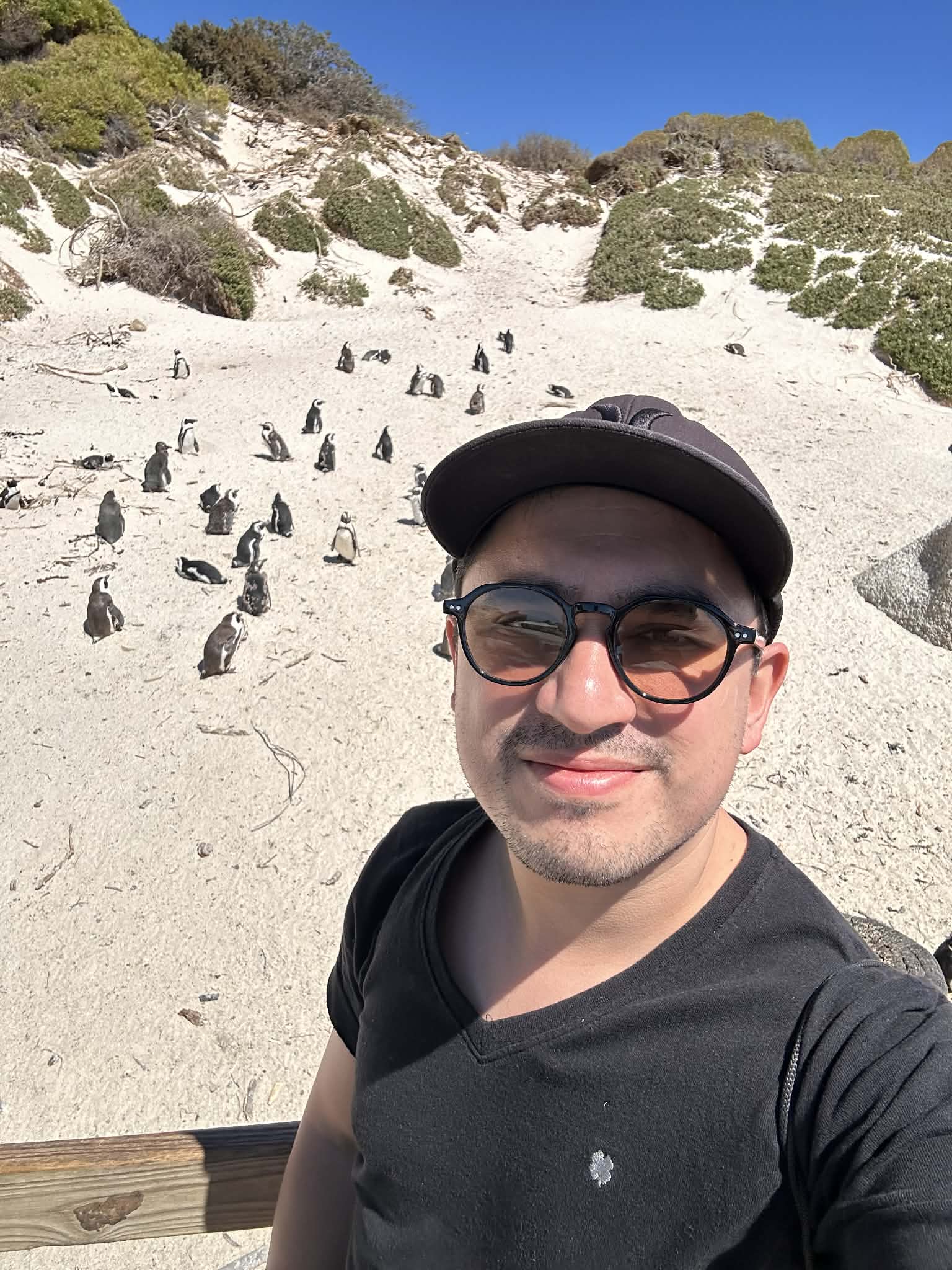 Foto con los pingüinos en Boulders Beach