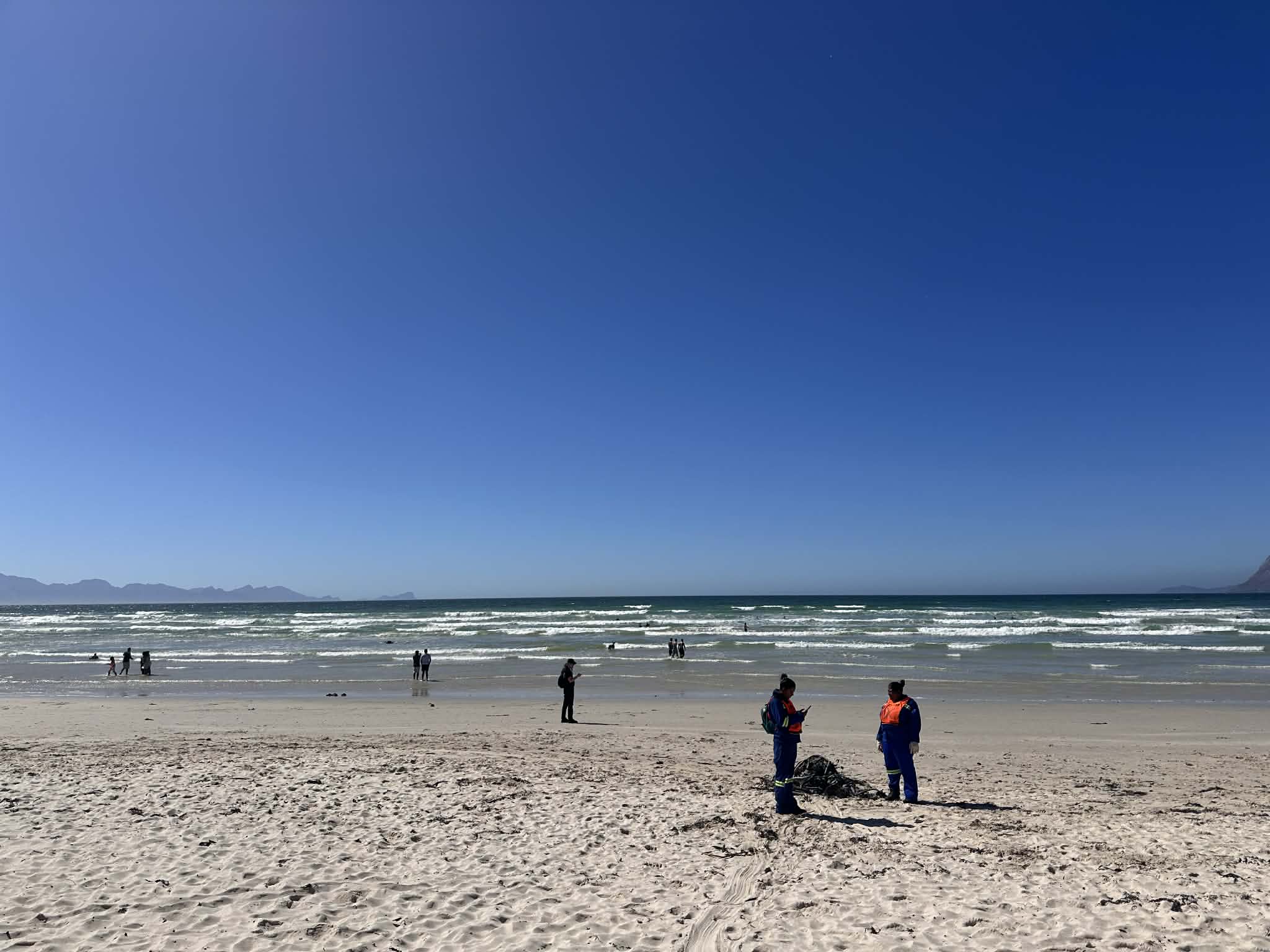 Visitar la playa de Muizenberg en Sudáfrica