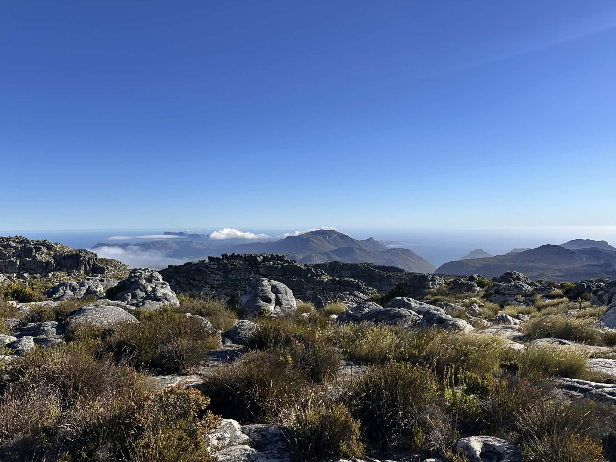 Caminar por la cima de Table Mountain
