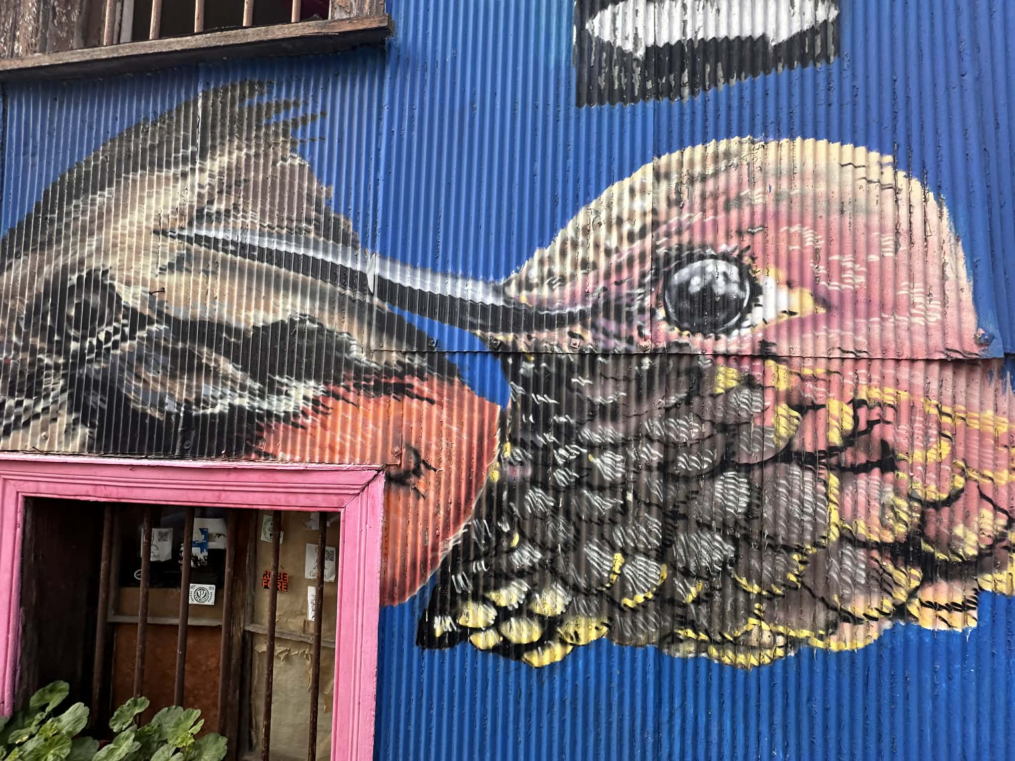 Mural de colibrí en Valparaíso
