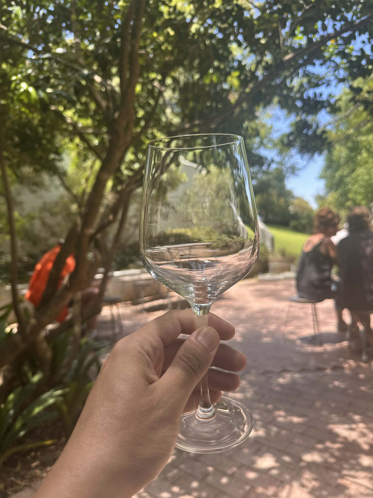 Degustaciones de vino en Ciudad del Cabo